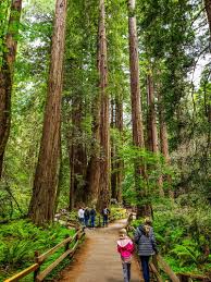 Maybe you would like to learn more about one of these? 30 Incredible Places To Visit In California Bucket List
