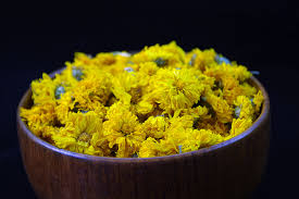 Image result for yellow chrysanthemum