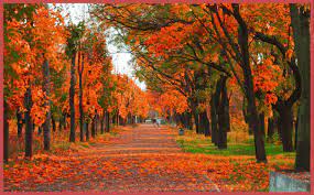 Autumn is the perfect time in engage in a fall refresh. Fall Trivia Questions And Answers Tqf