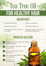 It's an excellent way to avoid the loss of hair that can result as we age. Benefits Of Tea Tree Oil For Hair Tea Tree Oil Hair Tea Tree Oil For Acne Tea Tree Oil