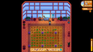 All copyrights reserved to their respective owners. Where To Get Beet Seeds Stardew