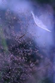 Yes, the echo show and echo spot can become digital picture frames, showing your digital photos as the background. 54 Alexa Show Device Wallpaper I Like Ideas Wallpaper Technology Wallpaper Xmas Wallpaper