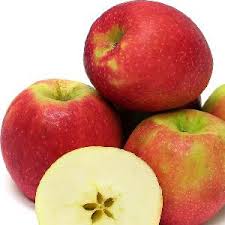 Large in size its flesh is crisp, juicy and creamy yellow in color. Jonagold Apples Products South Africa Jonagold Apples Supplier