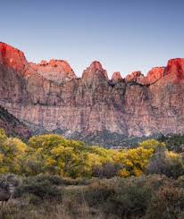 United states, springdale, 479 zion park blvd. Lodging In Zion National Park Utah Zion National Park Lodge