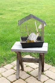 I've also made flight cages and aviaries out of a china hutch (scroll down for photos) and most recently, a 4′ long x 3′ high flight cage from a glass and chrome display case. How To Make A Birdcage Planter Parakeet Approved House Of Hawthornes