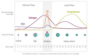 Ask additionally for a thyroid test, blood sugar. How Your Hormones Affect Athletic Performance And Why You Need To Start Testing Zrt Laboratory