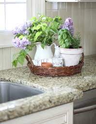 You can use your theme as an accent, or you can focus deeply on it, letting it bubble up all over your kitchen. Easy Kitchen Decor With Herbs Love Of Home