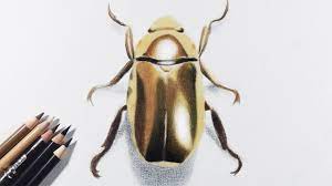 Just, spread different colors uniformly on the paper,. How To Draw Gold Metallic Object With Colored Pencils A Golden Beetle Youtube