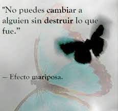 Efecto Mariposa Efecto Mariposa Frases De Sentimientos Frases