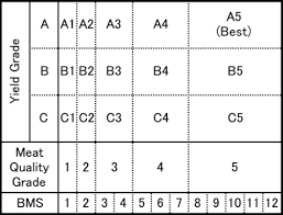 Meat Grading System Wagyu Authentic