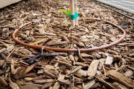 Each emitter is spaced 12 apart and emits 1 gph does your answer for best emitter tubing come with coupons or any offers? 1 4 Inch Emitter Tubing 500 Foot Roll X 12 Inch Spacing Landscape Products Inc