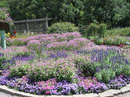 Zone 5 Gardening Zone 5 Plants And Gardening Advice For Beginners To Experts Shade Garden Plants Zone 5 Plants Small City Garden
