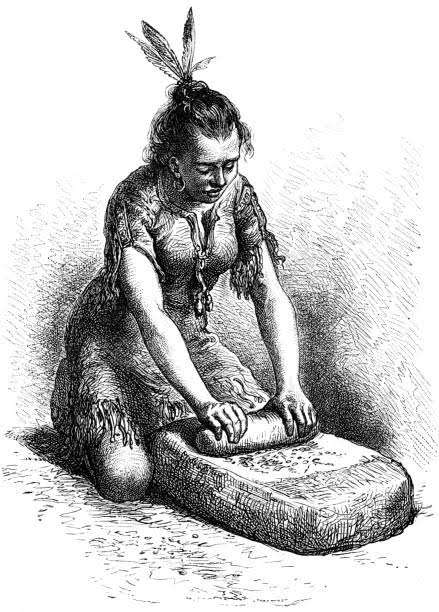 Indian Woman Grinds Corn On Stone Stock Illustration - Download Image Now - History, Corn, Indigenous North American Culture - iStock