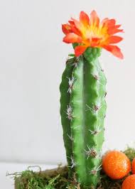 Cactus growers stick fake flowers on their plants simply to boost sales. Artificial Peruvian Cactus With Orange Flowers 7 5 Tall Cactus Flower Cactus Plants Orange Flower Bouquets
