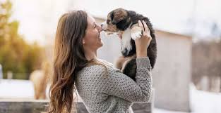 480$ for puppies under 9 months. Bc Spca Reports Staggering Increase In Pet Adoptions During Covid 19 Pandemic Vancouver Is Awesome