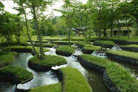 Groundcovers Hoshinoya Karuizawa Landscape Design Landscape Architecture Japanese Garden