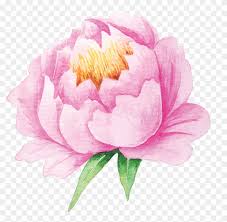 Maybe you would like to learn more about one of these? From Creative Market Watercolor Pastel Flowers Free Printable Flower Stickers Free Transparent Png Clipart Images Download