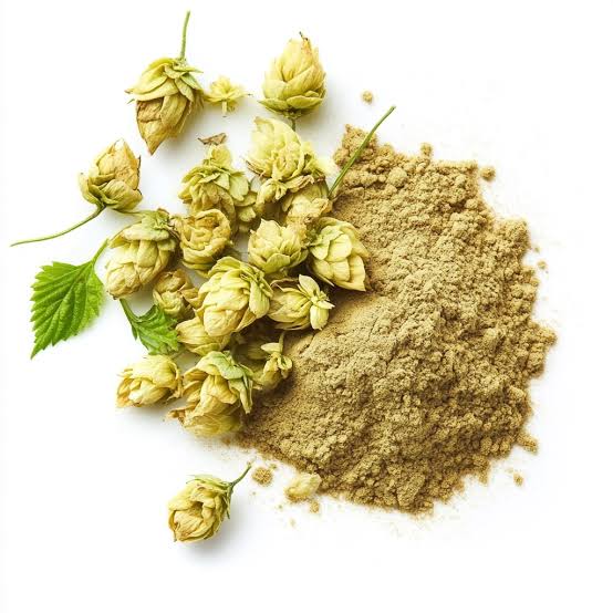 Hops extract - properties and applications