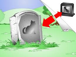 When a cat goes into heat, her meow will sound more like a howl and she will be more affectionate toward you, other cats and even the dining room during adolescence, your cat will experience a surge in estrogen that will cause her to go into heat for about a week. How To Comfort A Dying Cat 13 Steps With Pictures Wikihow