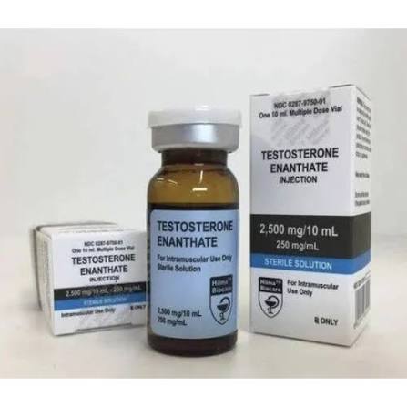 Testosterone Enanthate 10ml Vial at Best Price in Nagpur | Nilpankh India Private Limited