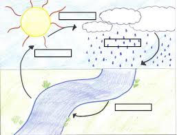 Blank Water Cycle Diagram Worksheet Water Cycle Diagram