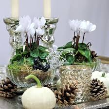 Alpenveilchen Tischdekorationen Alpenveilchen Tischdekorationen The Post Alpenveilchen Tischdekor Alpenveilchen Herbst Dekoration Herbstliche Tischdekorationen