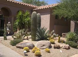 Taking this into account enhances its overall look. Beautiful Contemporary Desert Landscaping Idea With Various Types Of Cactus Rock Garden Landscaping Front Yard Landscaping Xeriscape