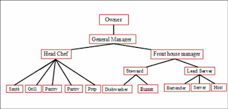 Restaurant Organizational Chart By Position Www