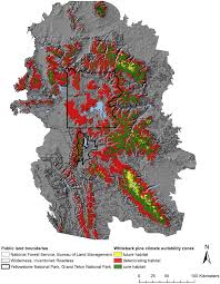 Whether one is a student or is functioning in some sort of profession, everyone can use a rupture from the dull stresses of life. Forests Free Full Text Complex Challenges Of Maintaining Whitebark Pine In Greater Yellowstone Under Climate Change A Call For Innovative Research Management And Policy Approaches Html