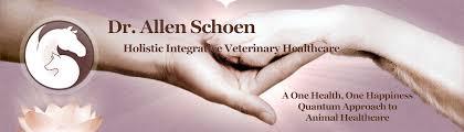 Natural Options In The Treatment Of Cancer In Dogs And Cats Dr Allen Schoen Holistic Integrative Veterinary Healthcare