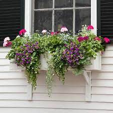 Pin On Gardening