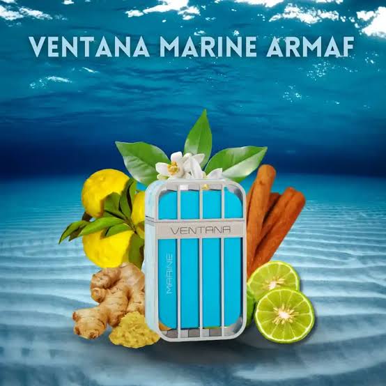 Ventana Marine EDP 100 ml - Perfumeria Wonder