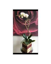 Maybe you would like to learn more about one of these? Santa Monica Florist Flower Delivery By Santa Monica Florist