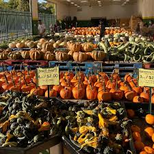 Check spelling or type a new query. Seasonal Produce Junction