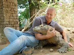 Monitor lizards, one of the iconic reptiles living on the planet, have monitor lizards are generally terrestrial animals. Are Monitor Lizards Dangerous To Humans Quora