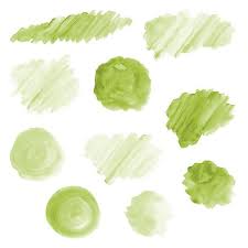 20 Green Watercolor Splotches Splatters Brush Strokes Green Watercolor Clip Art Transparent Background Png Watercolor Design Elements In 2021 Green Watercolor Watercolor Transparency Brush Strokes