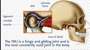 That's why it's always important to speak with a dentist, especially if it's been a while since you've visited one. Why Does My Jaw Hurt Headache Tmd Physical Therapy
