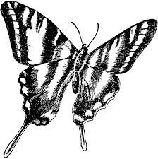 coloriages papillons a imprimer dessins de colorier images gratuites coloriage papill risunok babochki risunki pikachu