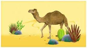 Ive read her books just in one day because of how good her books are!! Animal Songs Walk Like A Camel By Storybots Netflix Jr Youtube