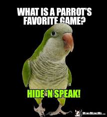 Birds Of The Same Feather Joke Ain T That The Truth Funny Birdjokes Parrothumour Funny Parrots Very Funny Memes Parrot
