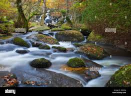 Becka Brook sotto Becky cade in autunno Dartmoor Devon Foto stock