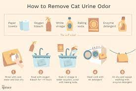How To Remove Cat Urine Odor From Laundry