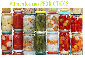 Resultado de imagen de probioticos