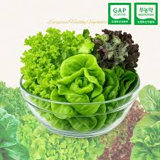 사람이 좋아 함께하는 곳 - 뽐뿌