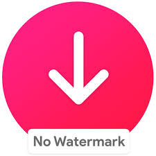 Simplemente inserte el enlace y descárguelo en 2 clics. Tiktok Video Downloader Online Tiktok Video List 2020