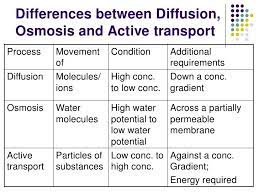 Chapter 3 Movement Of Substances Lesson 3 Active Transport And The Biology Lessons Biology Classroom Science Notes