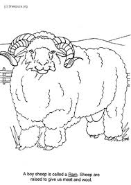 Coloring Page Ram Img 6014 Coloring Pages Free Printable Coloring Pages Free Printable Coloring Sheets