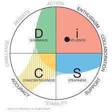 disc profile how disc personality tests work