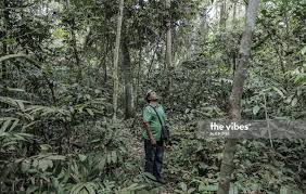 We did not find results for: Lukewarm Response To Petition To Save Kuala Langat Forest Reserve Malaysia The Vibes