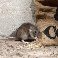 32 years of experience | fully licensed and insured. Flint Hills Termite And Pest Control Inc Emporia Ks